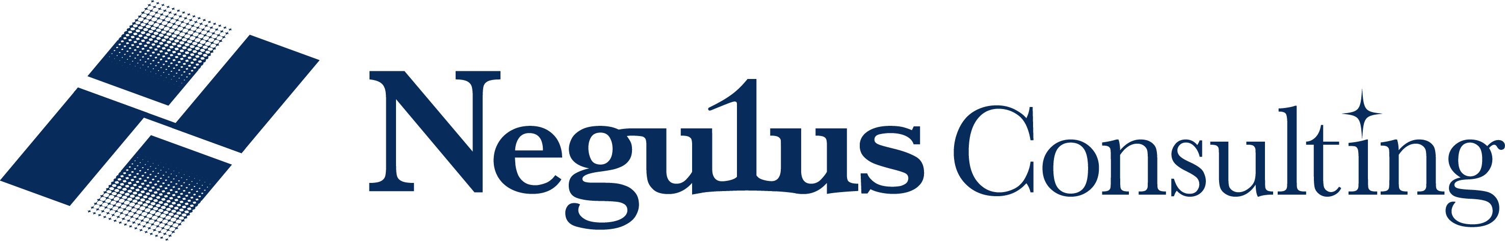 Negulus Consulting